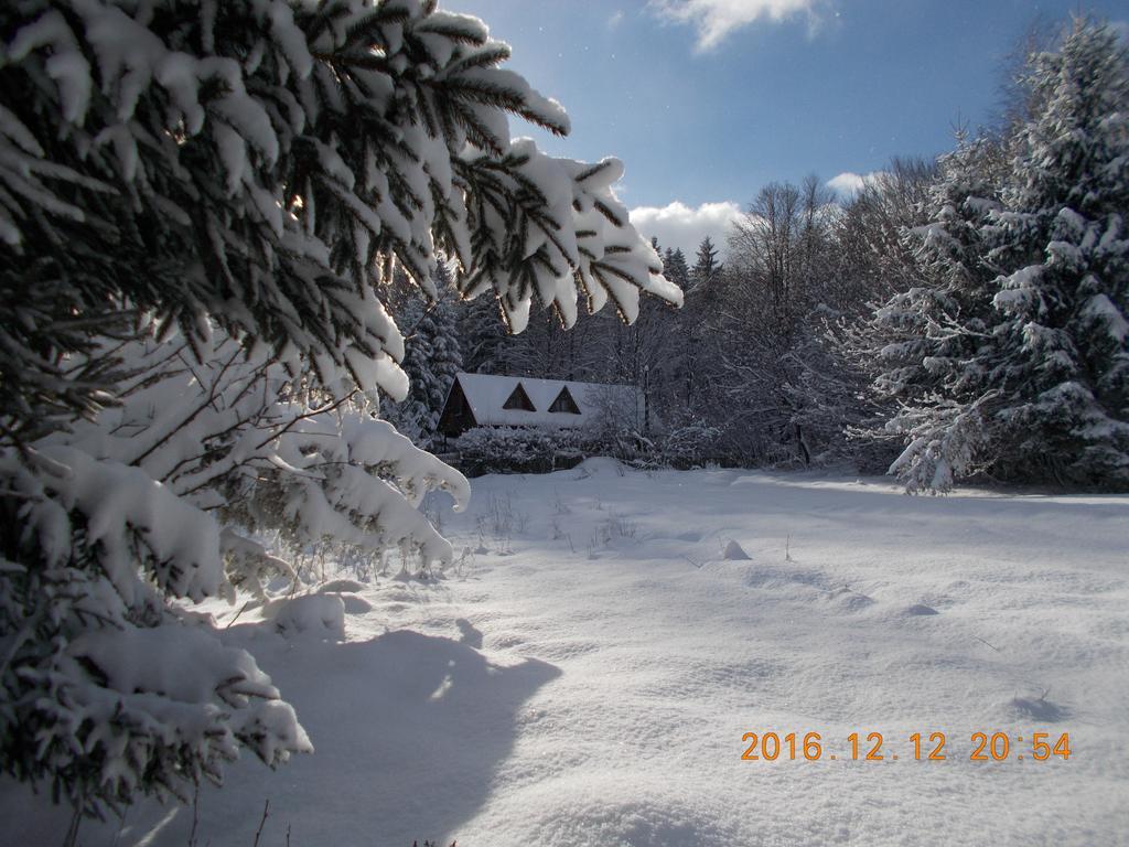 Sîmbăta de Sus Casa Lacramioaraヴィラ エクステリア 写真